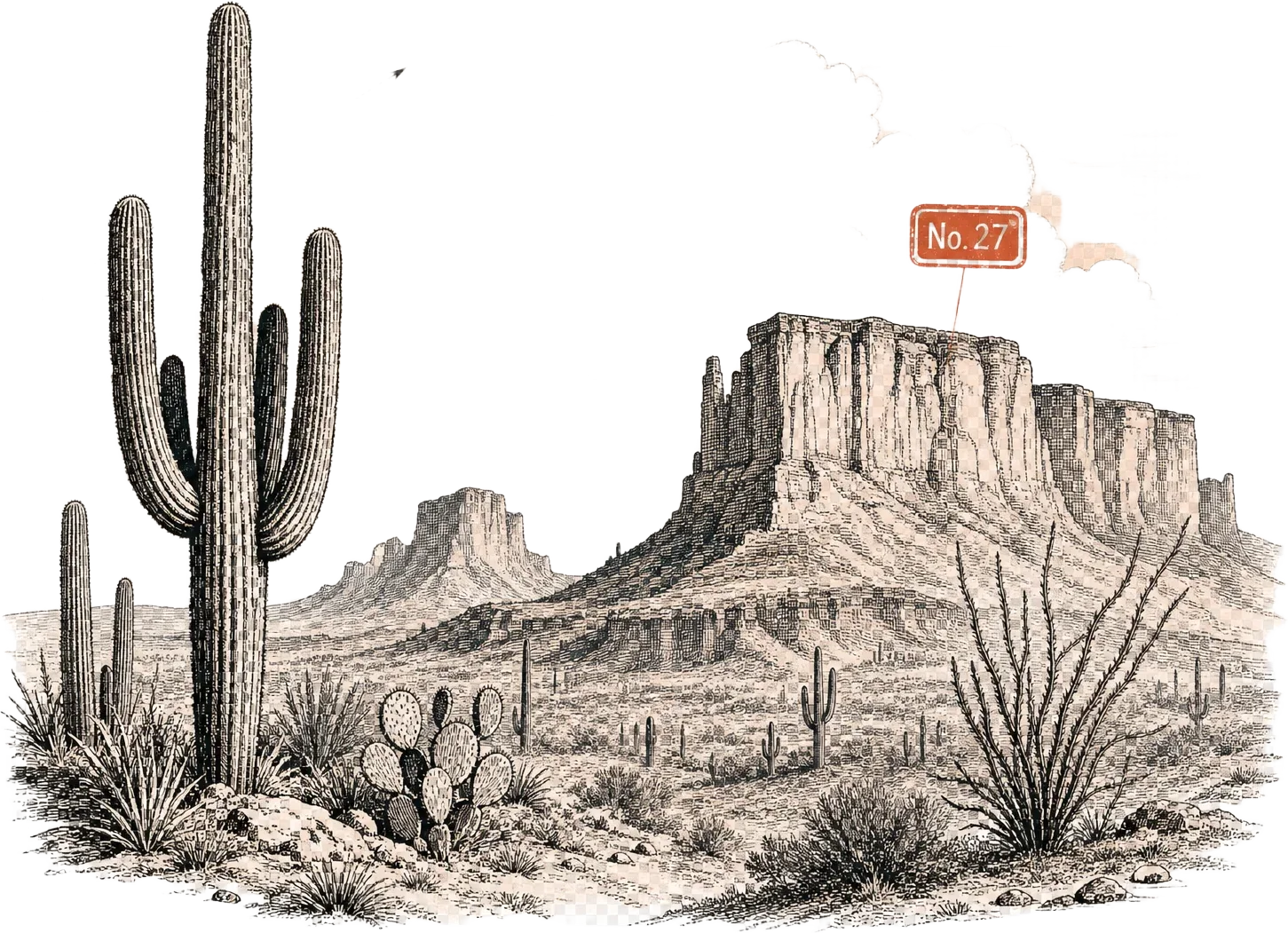Ink-etched desert canyon with saguaro cacti, a diagram arrow and a red specimen marker